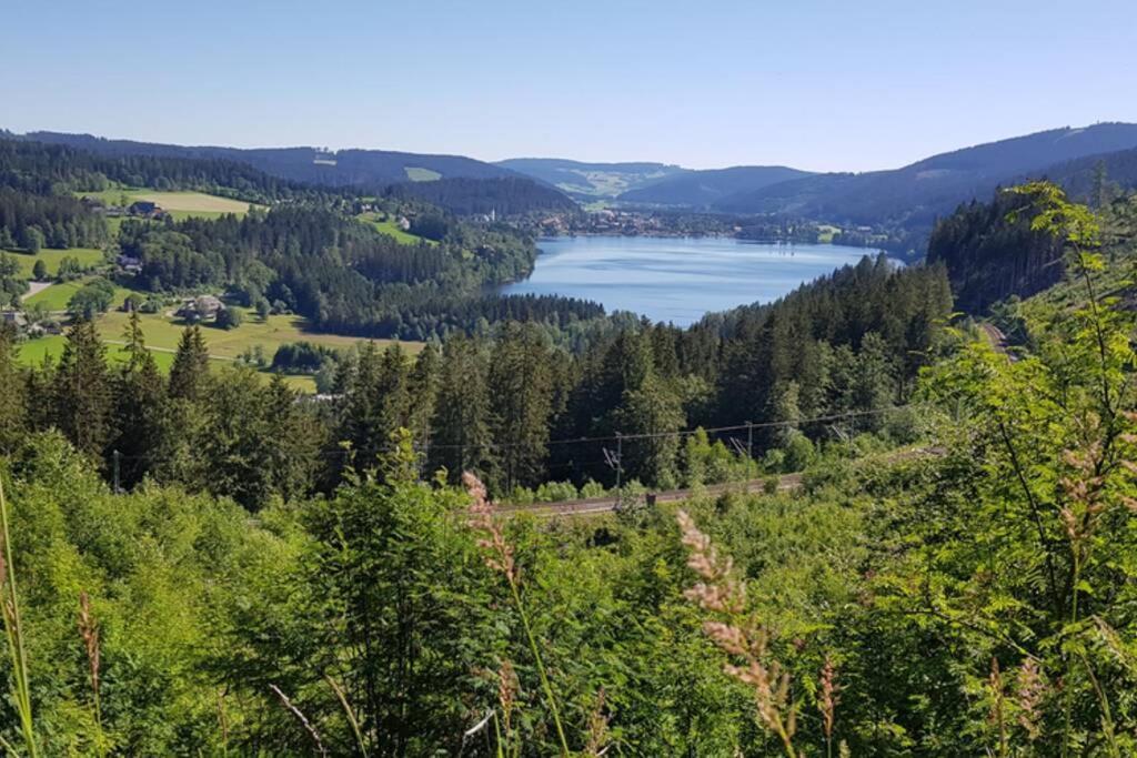 Black Forest Schwarzwaldblick Indoorpool Wifi Natur Komfort Höchenschwand Екстериор снимка