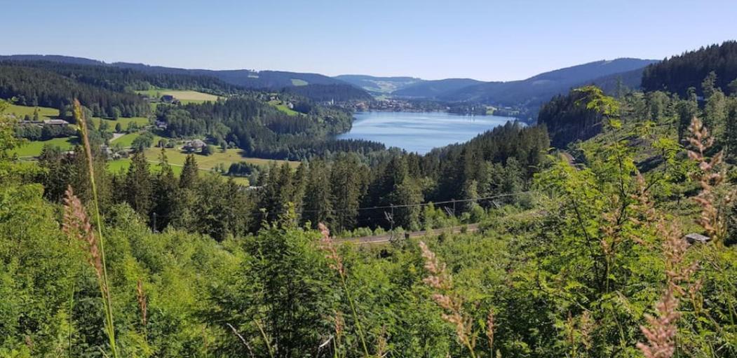Black Forest Schwarzwaldblick Indoorpool Wifi Natur Komfort Höchenschwand Екстериор снимка