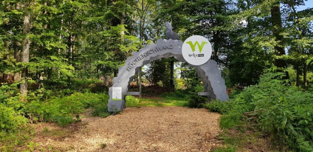 Black Forest Schwarzwaldblick Indoorpool Wifi Natur Komfort Höchenschwand Екстериор снимка